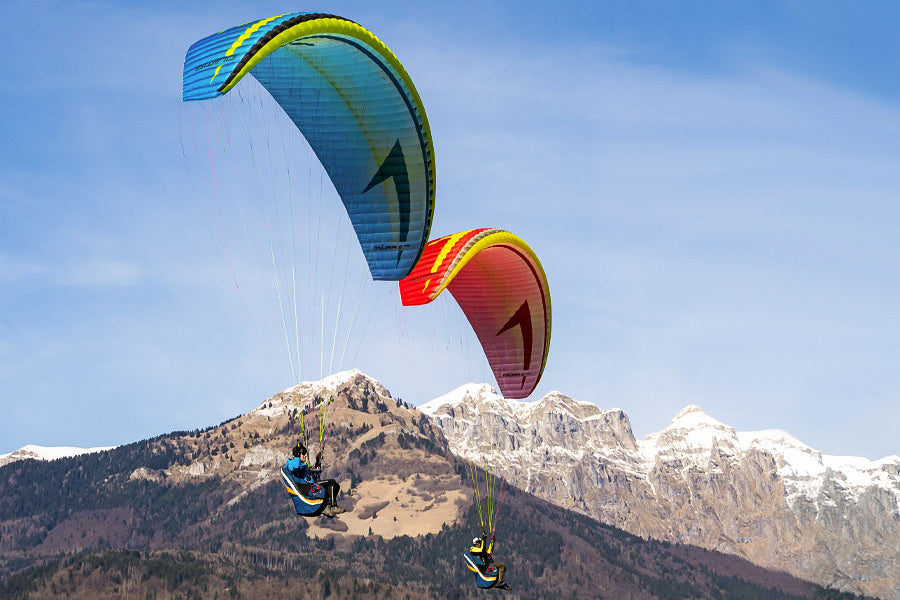 Swing Miura 2 RS